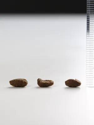 オリジン オリジナル