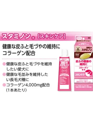チョイスプラス スタミノン 皮ふの健康の維持に 40g
