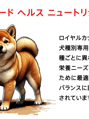 ロイヤルカナン 柴犬 成犬用