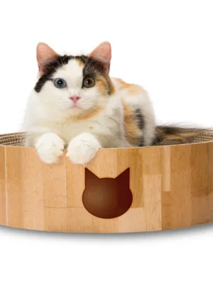 商品 猫壱 バリバリボウル 画像