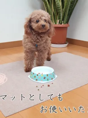 サンコー おくだけ吸着 ペット用トイレ下敷きマット 60×90cm
