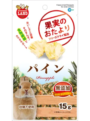 商品 マルカン 果実のおたより パイン 15g 画像
