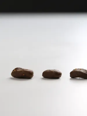 オリジン オリジナルキャット