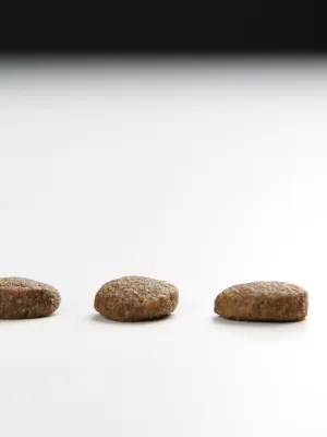アカナ クラシック ワイルドコーストレシピ(魚肉)
