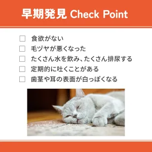 ベッツウェル 猫用食事療法食 腎臓ケア