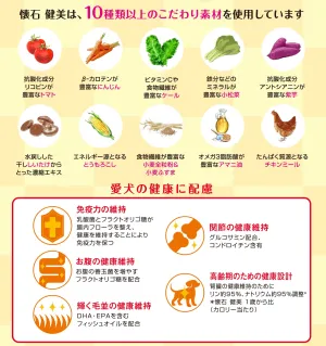 懐石 健美 7歳から