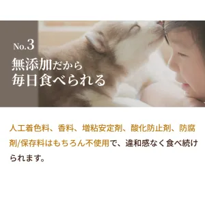 SILKFULL 犬用ウェットフード ビーフ
