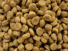 ソルビダ グレインフリー チキン 室内飼育7歳以上 インドアシニア