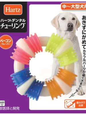 ハーツデンタル