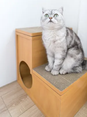 HappyDays キャットステップ 2段