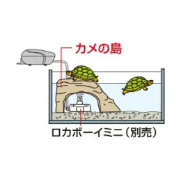 GEX カメ元気 カメの島