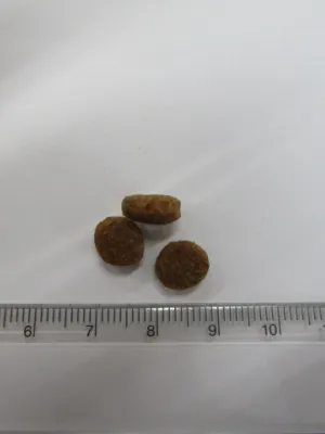 ブリスミックス グレインフリー サーモン 小粒