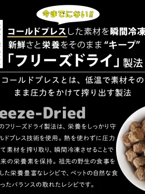 ニュートライプ ワイルドカット フリーズドライ ビーフwithグリーントライプ 15g
