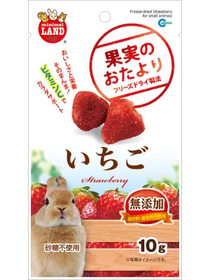 商品 マルカン 果実のおたより いちご 10g 画像