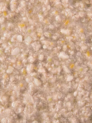 デビフ シニア食 乳酸菌・オリゴ糖配合 150g