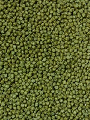コメット 金魚の主食 3つの善玉菌で汚れ・ニオイが少なくなる 納豆菌配合
