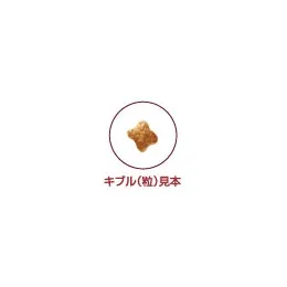 ロイヤルカナン キトン