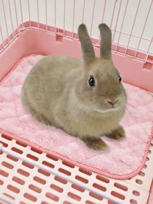 マルカン うさちゃんのふんわりプレイマット