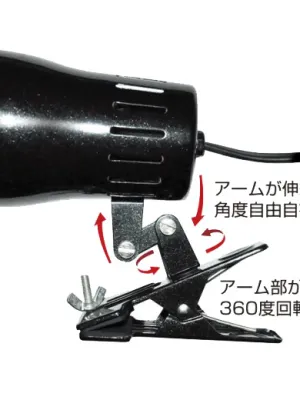 GEX グロースタンド