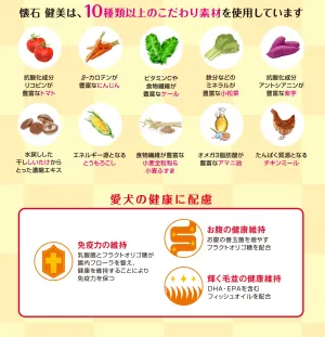 懐石 健美 1歳から