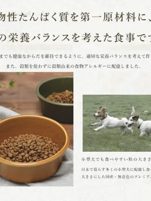 メディコートアドバンス グレインフリー 1歳から フィッシュ味