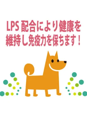 パントワンW 500ml