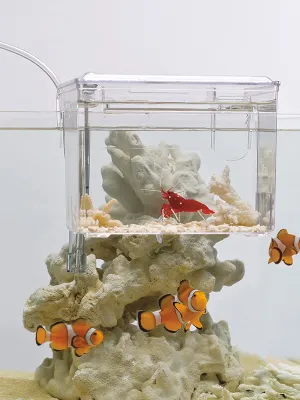 スドー サテライト