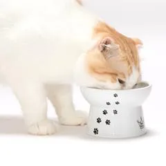 猫壱 脚付フードボウル カップケーキ