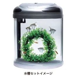 テトラ ウォーターリース