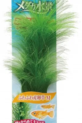 GEX メダカ水景ふわふわ産卵草