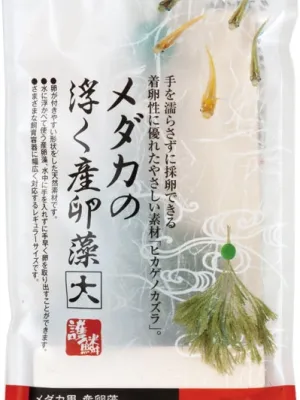 スドー メダカの浮く産卵藻
