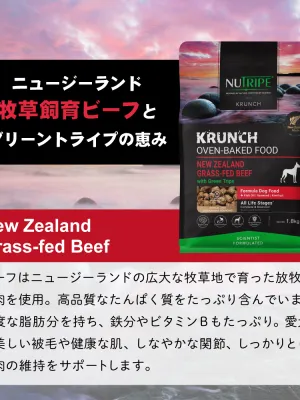 ニュートライプ クランチ オーブンベークド ビーフwithグリーントライプ 30g