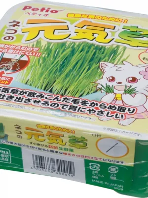 ペティオ ネコの元気草