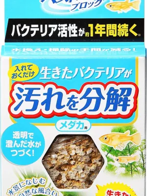 GEX ベストバイオブロック
