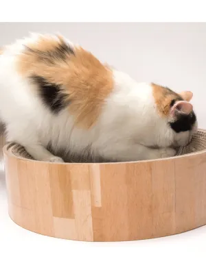 猫壱 バリバリボウル