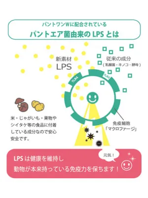 パントワンW 500ml