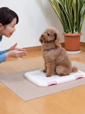 サンコー おくだけ吸着 ペット用トイレ下敷きマット 60×90cm