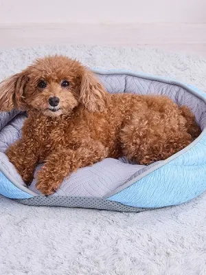アドメイト Cuna ひんやりカウチベッド
