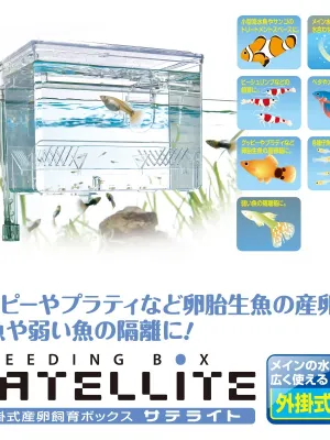 スドー サテライト