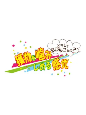 ペッツルート まんまるズーズー
