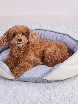 アドメイト Cuna ひんやりカウチベッド