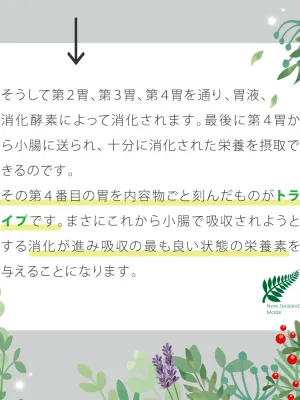 ニュートライプ ピュア グリーントライプ