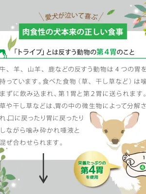 ニュートライプ ピュア グリーントライプ