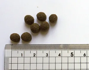 ブラックウッド パピー チキン 全犬種 離乳後-老齢期