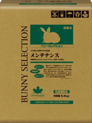 バニーセレクション メンテナンス