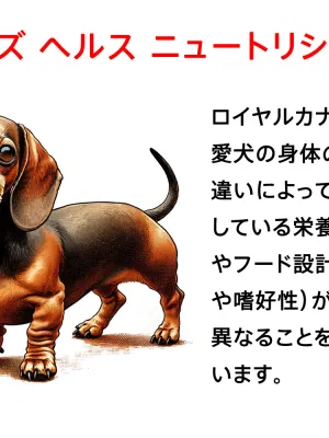 ロイヤルカナン ミニ インドア パピー 小型犬幼犬用 | UGペット.com