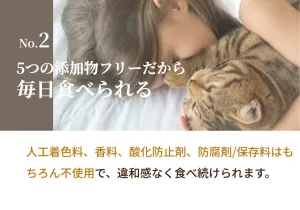 SILCAT 猫用ウェットフード チキン