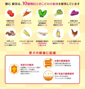 懐石 健美 1歳から