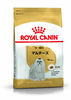 ロイヤルカナン マルチーズ 成犬・高齢犬用