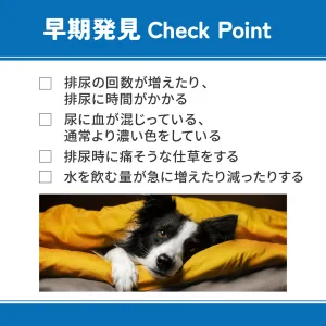 ベッツウェル 犬用食事療法食 下部尿路ケア